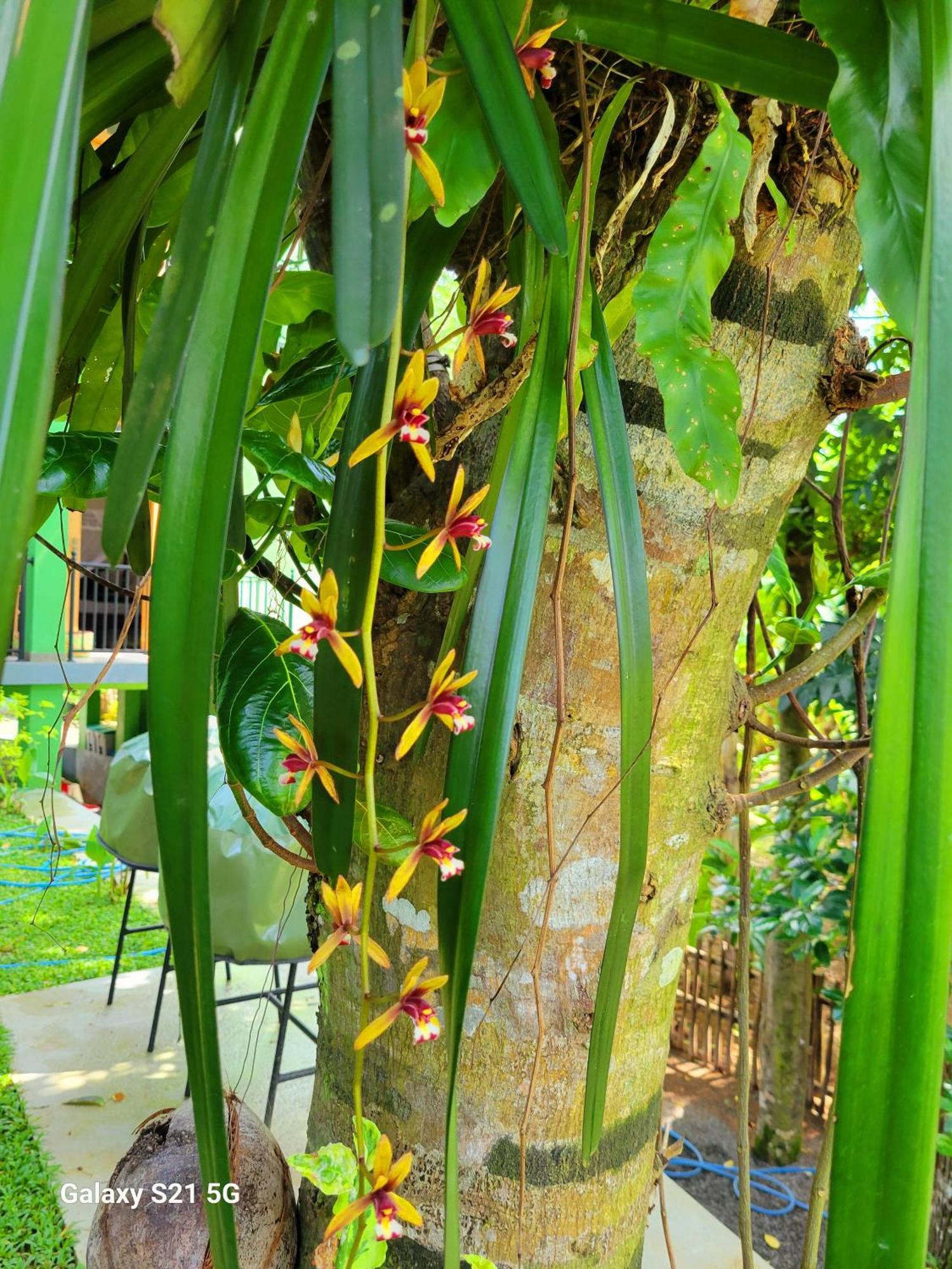 Barefoot Bungalow Hikka Hikkaduwa Exterior foto